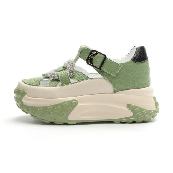 FITVITA Empowering Your Fitness Journey